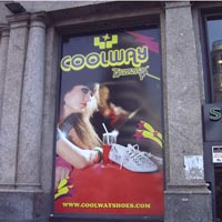 Vinilo impreso