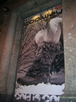 Vinilo opaco escaparate