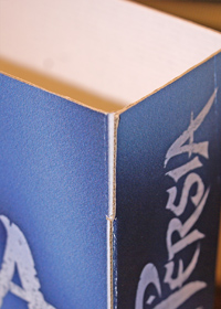 Carton microcanal-detalle