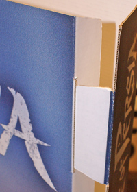 Carton microcanal detalle
