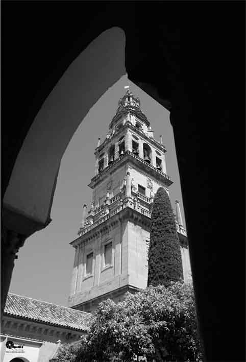 Encuadre9